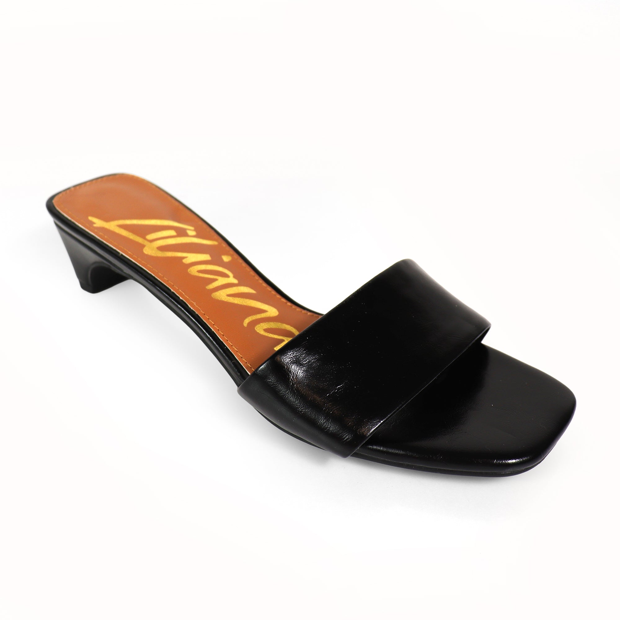 ELAINNY-1 TRANSPARENT CLEAR UPPER MULE W/ KITTEN HEEL BLACK