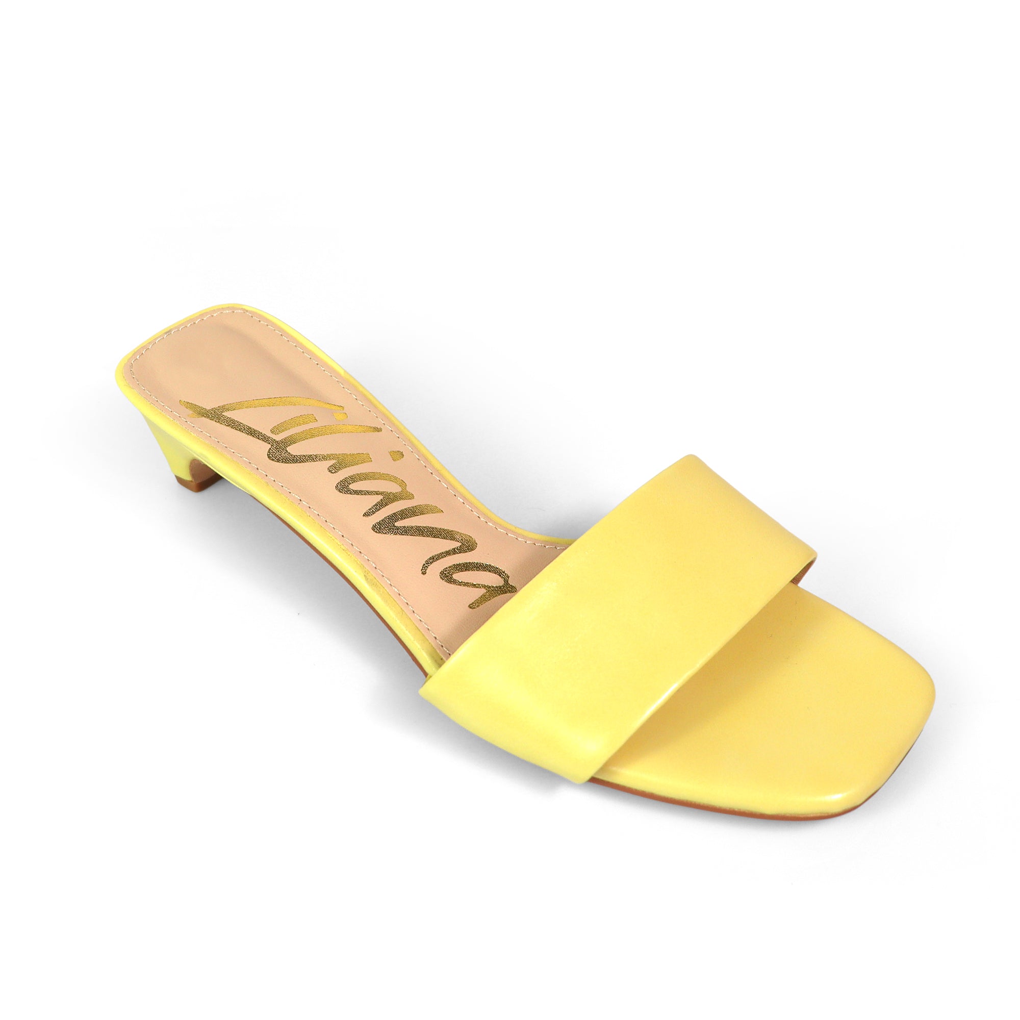 ELAINNY-1 TRANSPARENT CLEAR UPPER MULE W/ KITTEN HEEL BUTTER