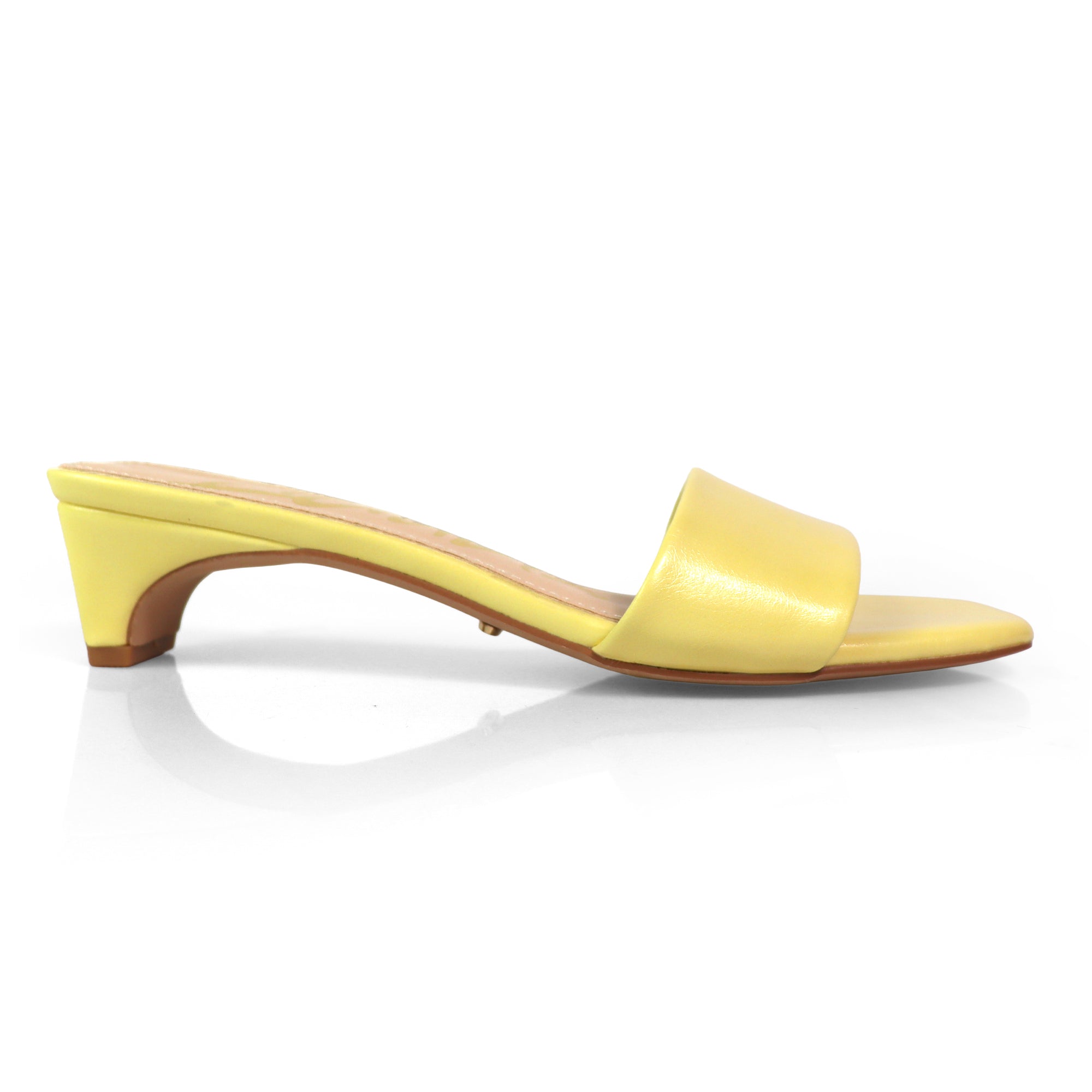ELAINNY-1 TRANSPARENT CLEAR UPPER MULE W/ KITTEN HEEL BUTTER
