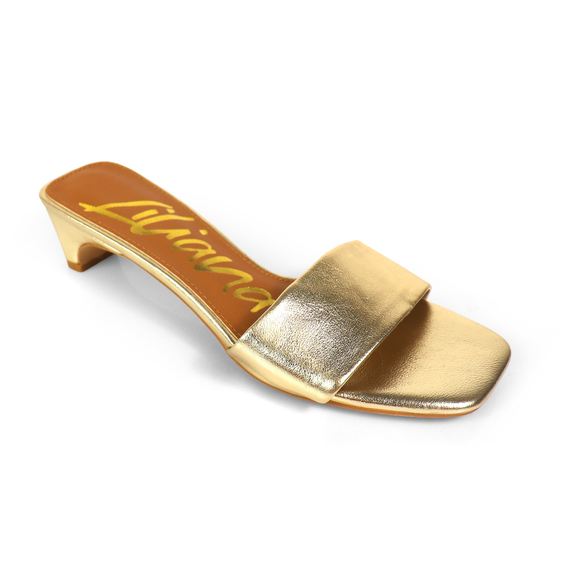 ELAINNY-1 TRANSPARENT CLEAR UPPER MULE W/ KITTEN HEEL GOLD