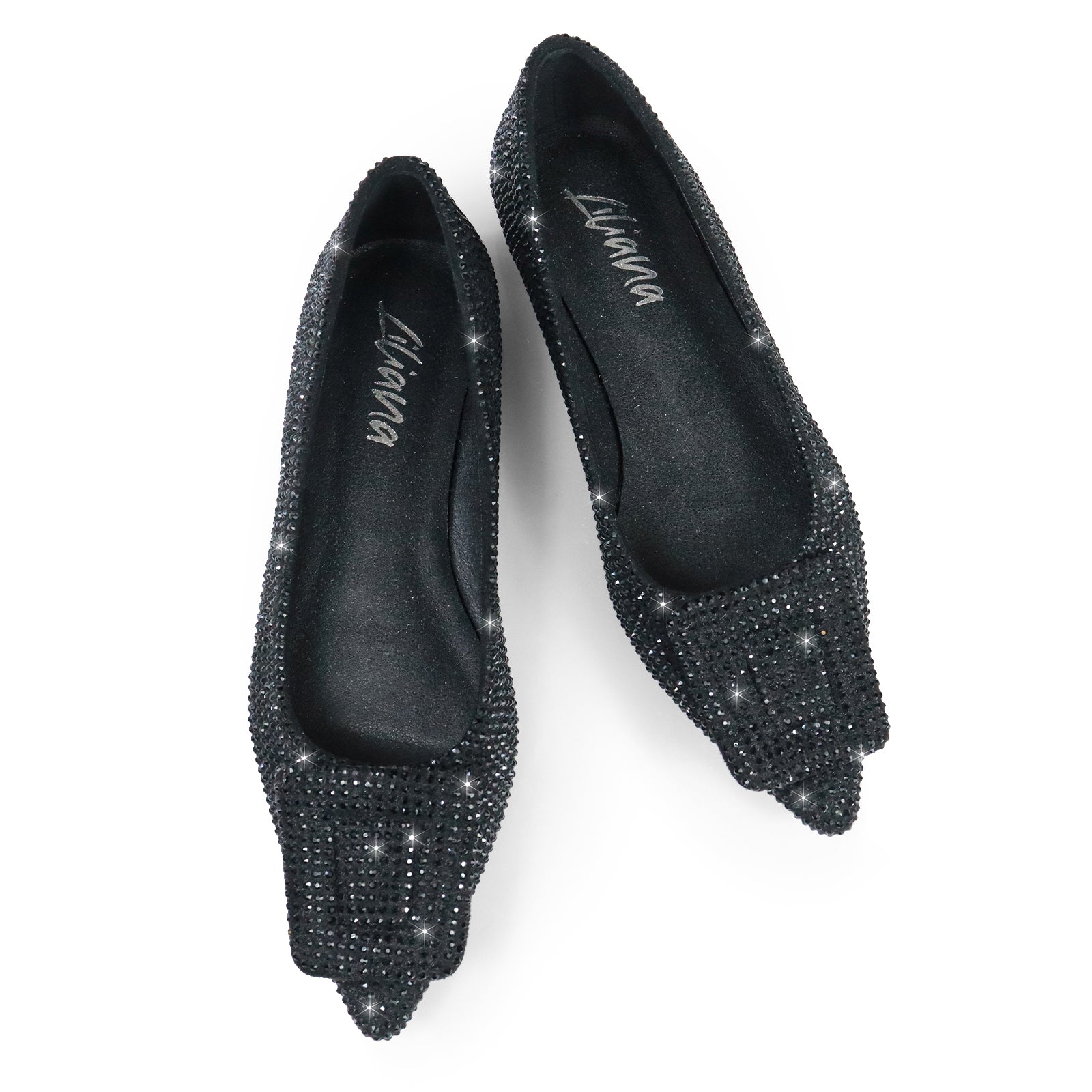 LIZ-2 POINTED TOE FLATW/RHINESTONE BUCKLE BLACK